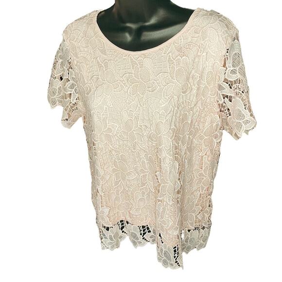 Philosophy NWT Pink Floral Lace Blouse Size Medium - Picture 5 of 7
